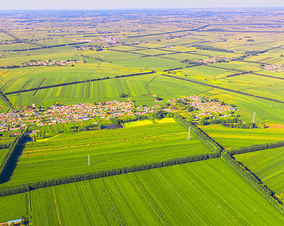 4.9亿余元扶持内蒙古556个嘎查村发展集体经济