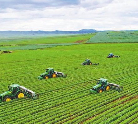 内蒙古：当好国家粮食安全“保障员”