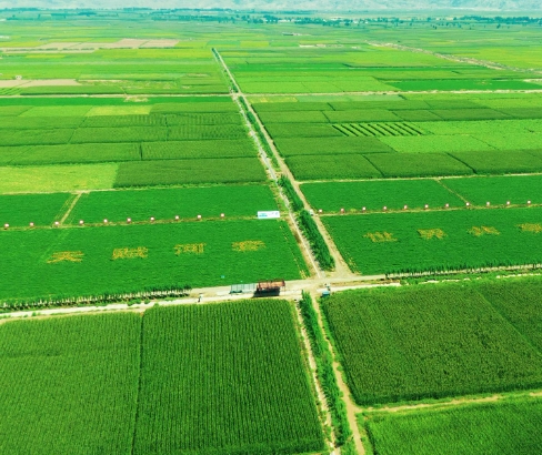 内蒙古自治区财政两年累计下达97.02亿元资金 支持795万亩高标准农田建设