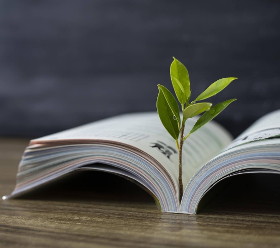 内蒙古基础教育高质量发展座谈会举行