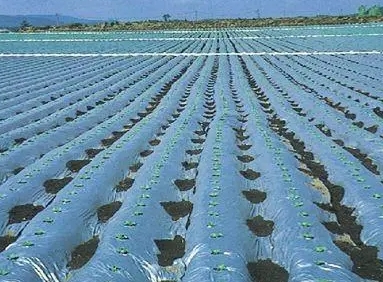 内蒙古农膜污染防治有了法律保障