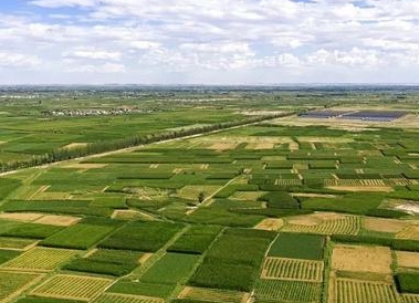 巴彦淖尔市380余种优质农畜产品销往北京