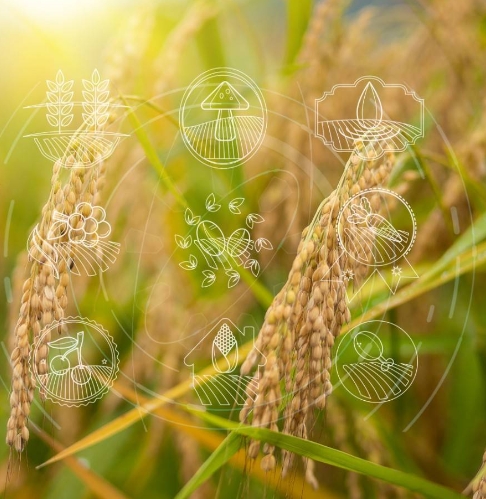 内蒙古“3大链条”产业亮相首届链博会