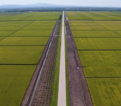 粮食产量连续6年稳定在700亿斤以上 内蒙古以791.6亿斤新高迎来“二十连丰”