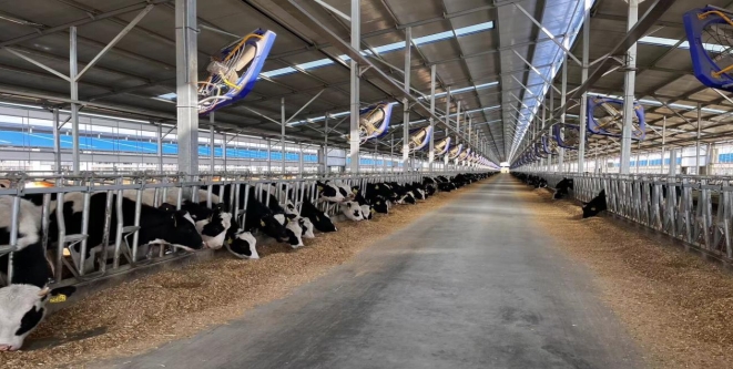 普惠金融推进月—工商银行内蒙古分行以“金融细雨”普润千家万户