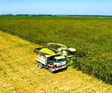 鄂尔多斯下达惠农补贴资金5.5亿元