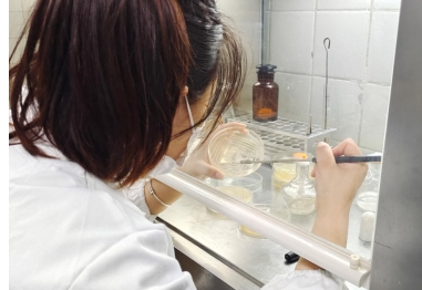 内蒙古师范大学学生团队探索盐碱地治理新技术 青春筑梦盐碱地，助推乡村振兴   