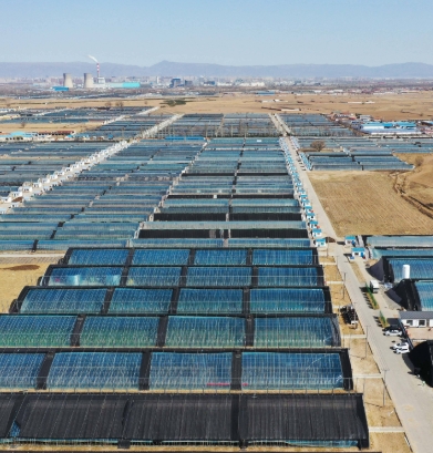 多点发力 呼和浩特农村劳动力转移成效显著