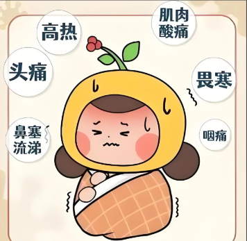 12月中下旬和1月初 或出现我国流感疫情高峰