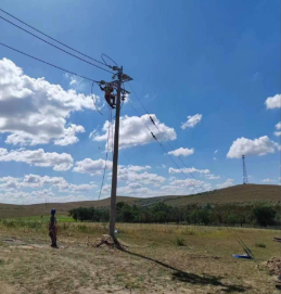 交出新答卷!锡林郭勒供电公司电力服务保障工作获锡盟行署表扬